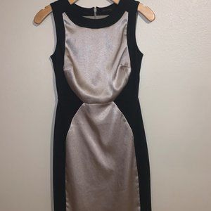 The Limited dress